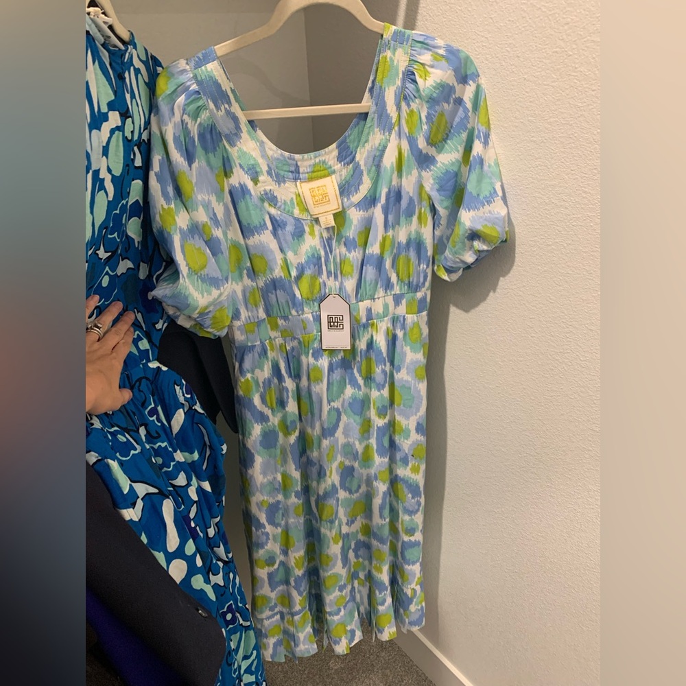 Emily McCathy blue and Green Patterned Women Dress